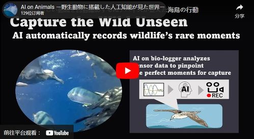 日本科学家开发微型生物记录仪,捕捉野生海鸟罕见行为